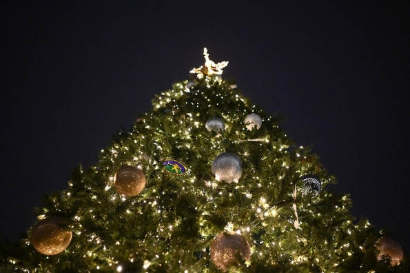 holiday-tree-fss-ornament.jpg