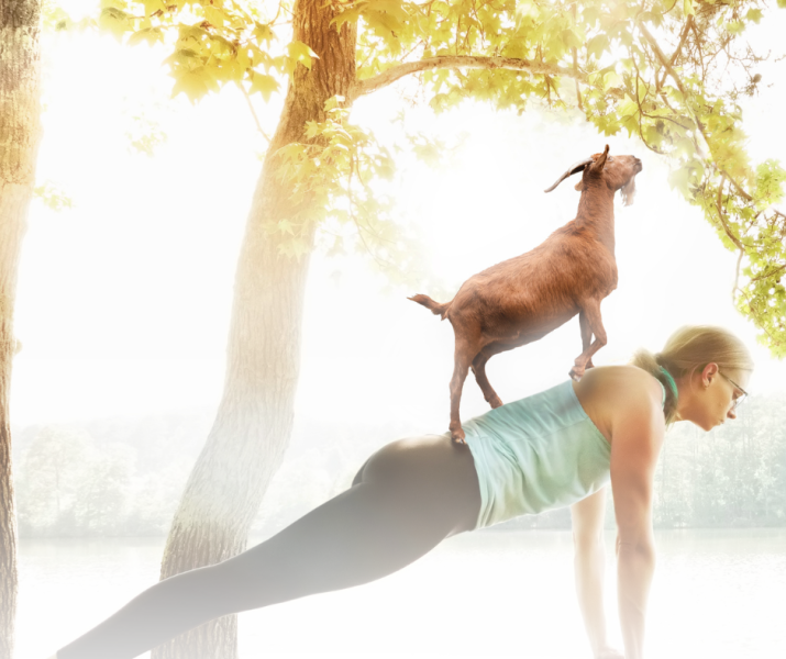 odr-goat-yoga-may-2024-icon.png